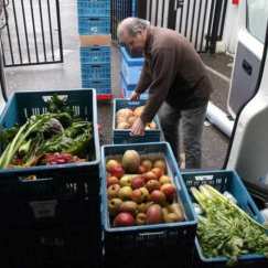 Plus de 330 tonnes de dons alimentaires redistribuées !